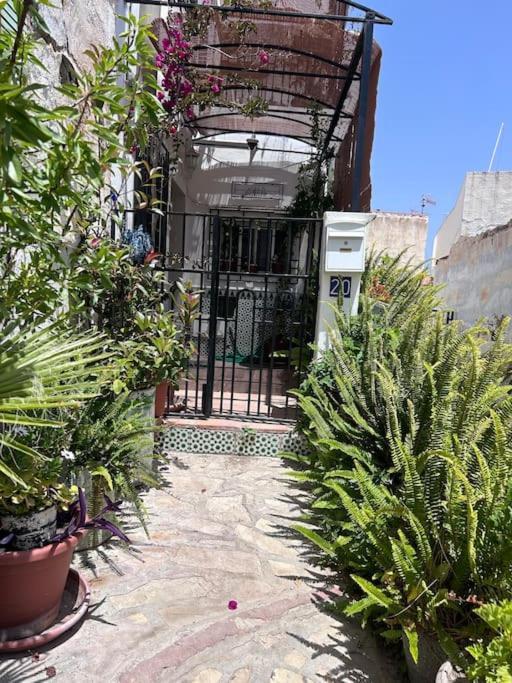 Amazing Sea And Mountain View! Casita Pinata Apartment Salobreña Exterior foto