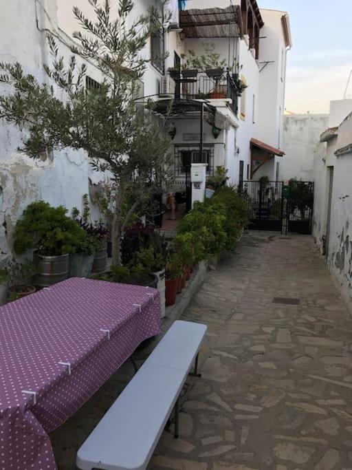 Amazing Sea And Mountain View! Casita Pinata Apartment Salobreña Exterior foto
