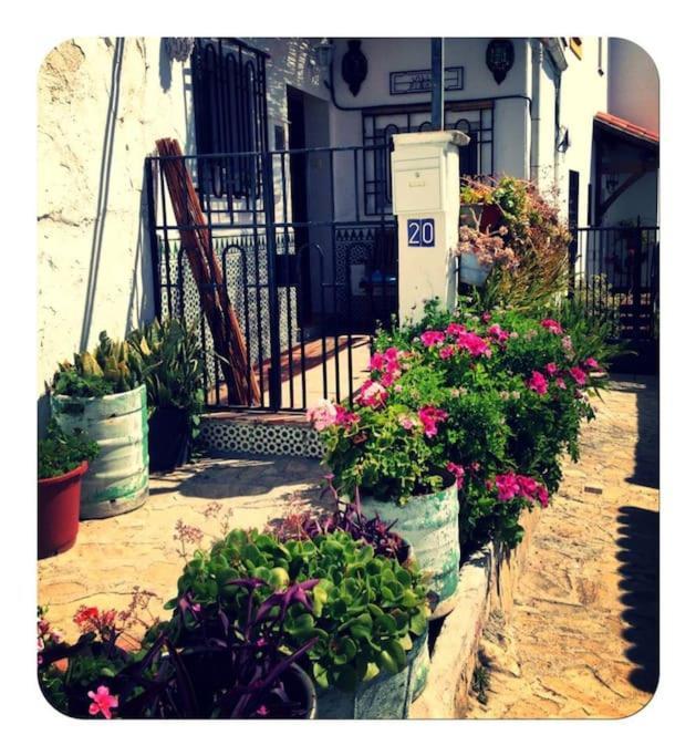 Amazing Sea And Mountain View! Casita Pinata Apartment Salobreña Exterior foto