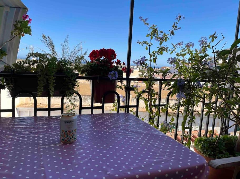 Amazing Sea And Mountain View! Casita Pinata Apartment Salobreña Exterior foto