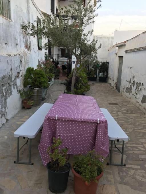Amazing Sea And Mountain View! Casita Pinata Apartment Salobreña Exterior foto